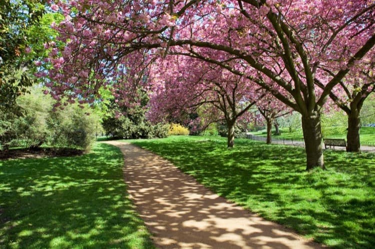 Hyde Park, Londra