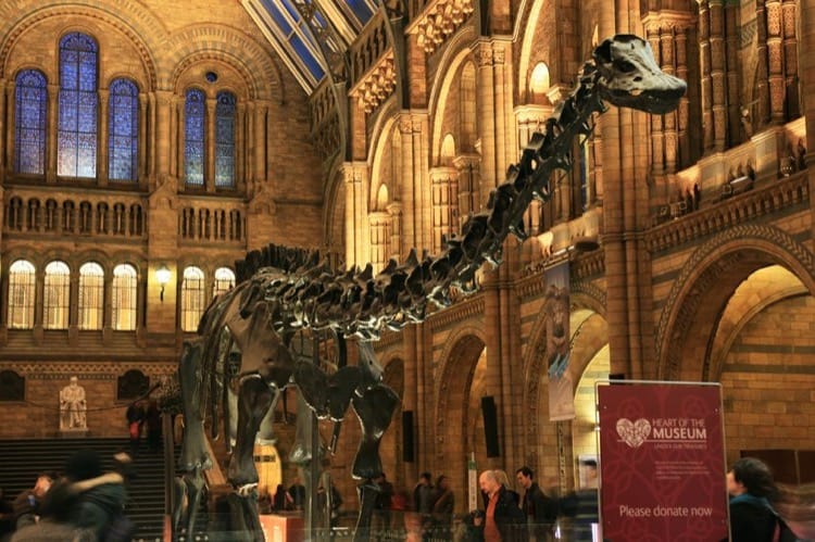 Museo di Storia Naturale, Londra