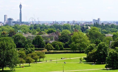 Primrose Hill, Londra